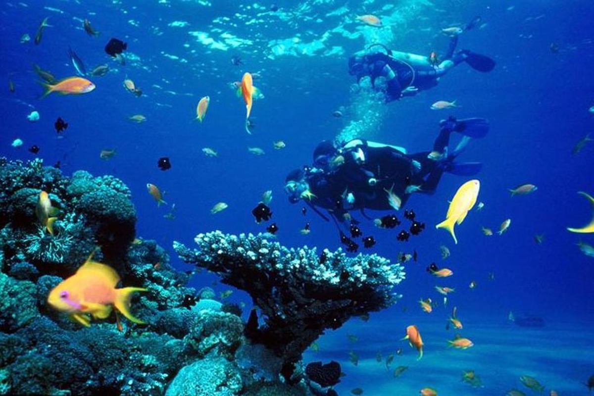 skupina ljudi, ki plavajo v oceanu z ribami