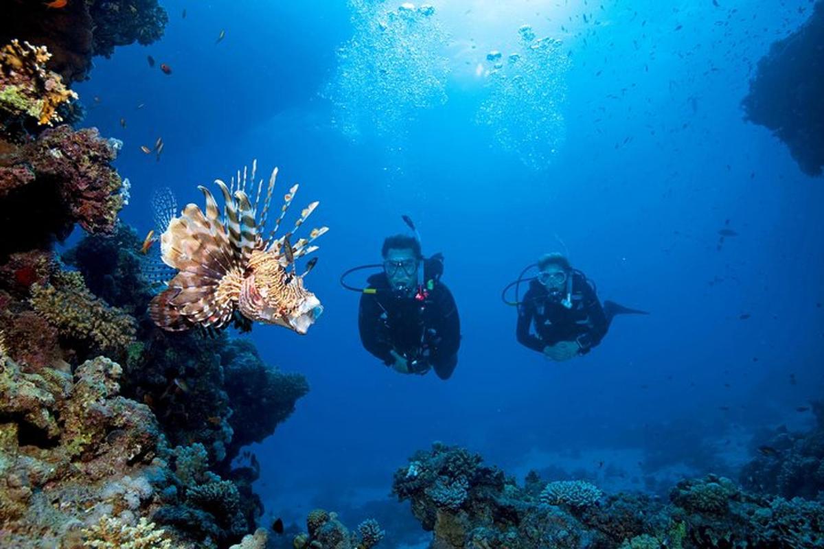 dva človeka v oceanu gledata koralni greben