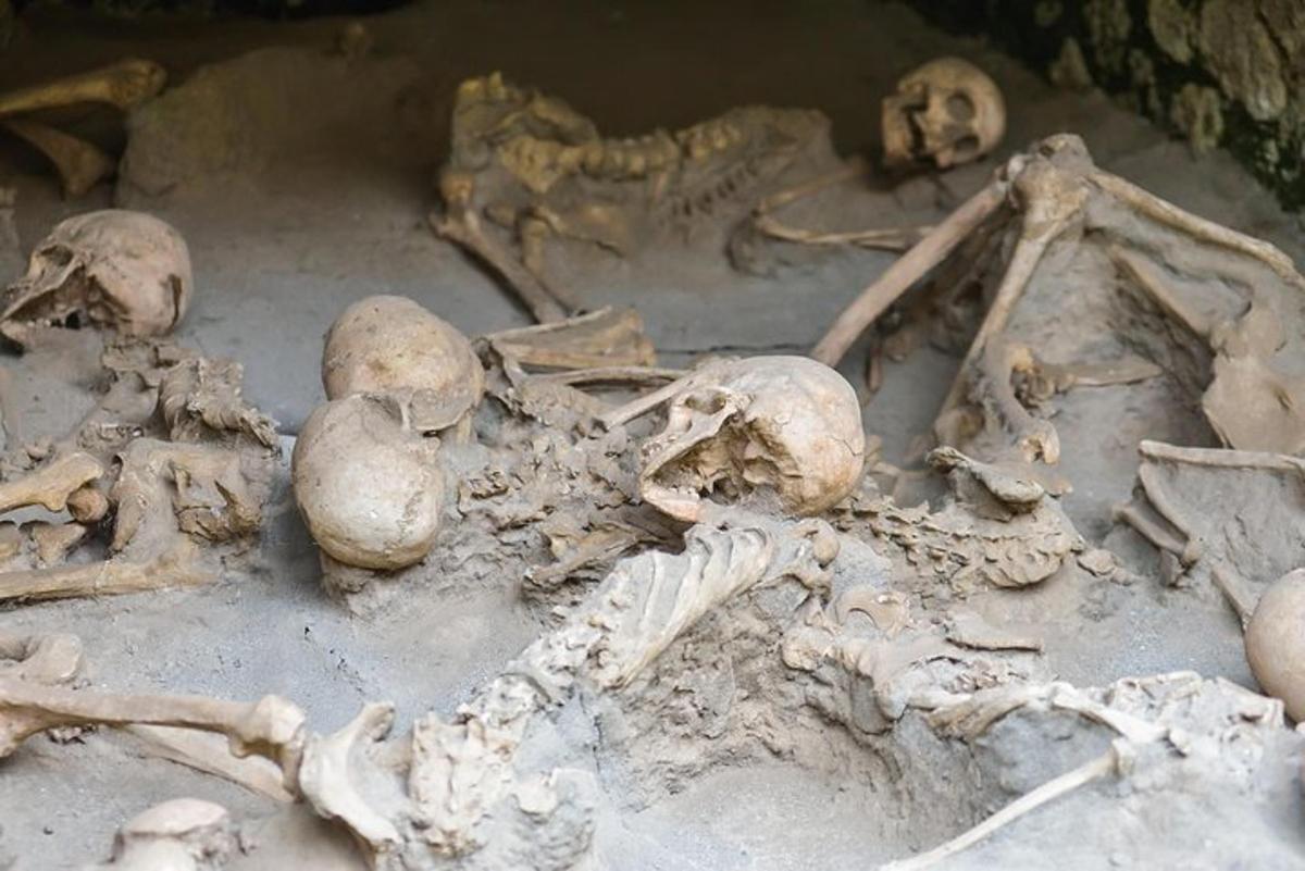 un mucchio di ossa e scheletri a terra
