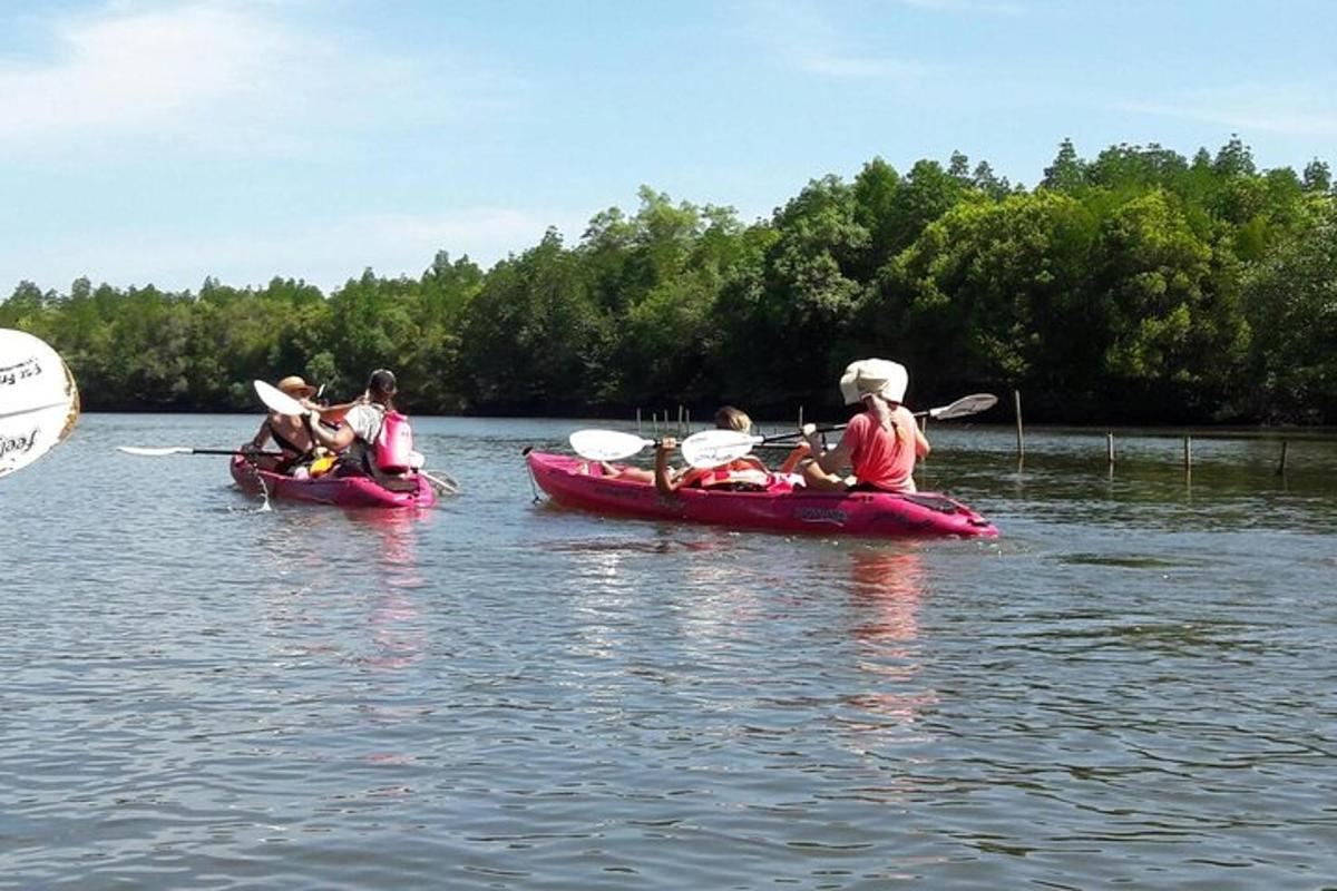 un grupo de personas viajando en canoas en un lago