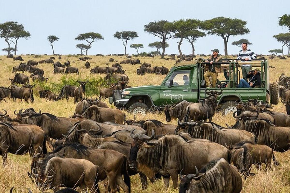Personas en un camión verde en una manada de animales.