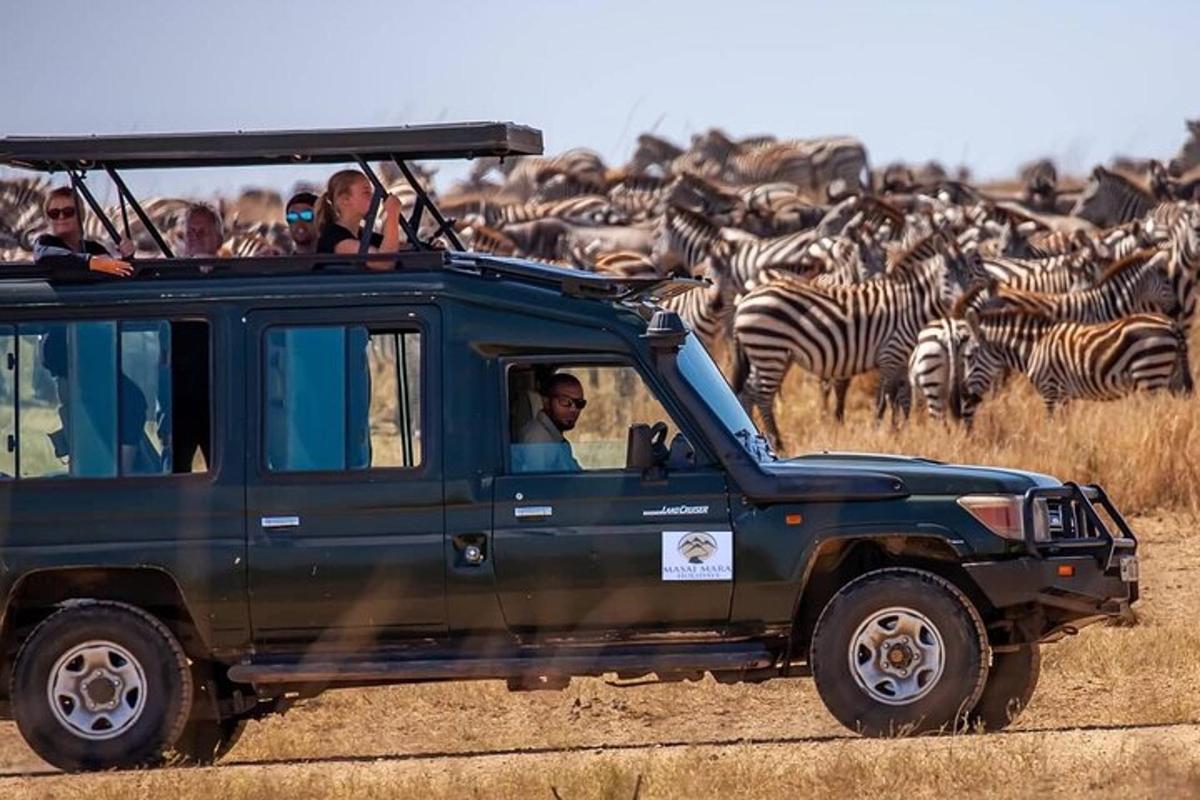 un grupo de personas en un jeep con una manada de cebras