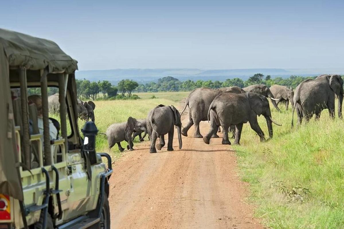una manada de elefantes cruzando un camino de tierra