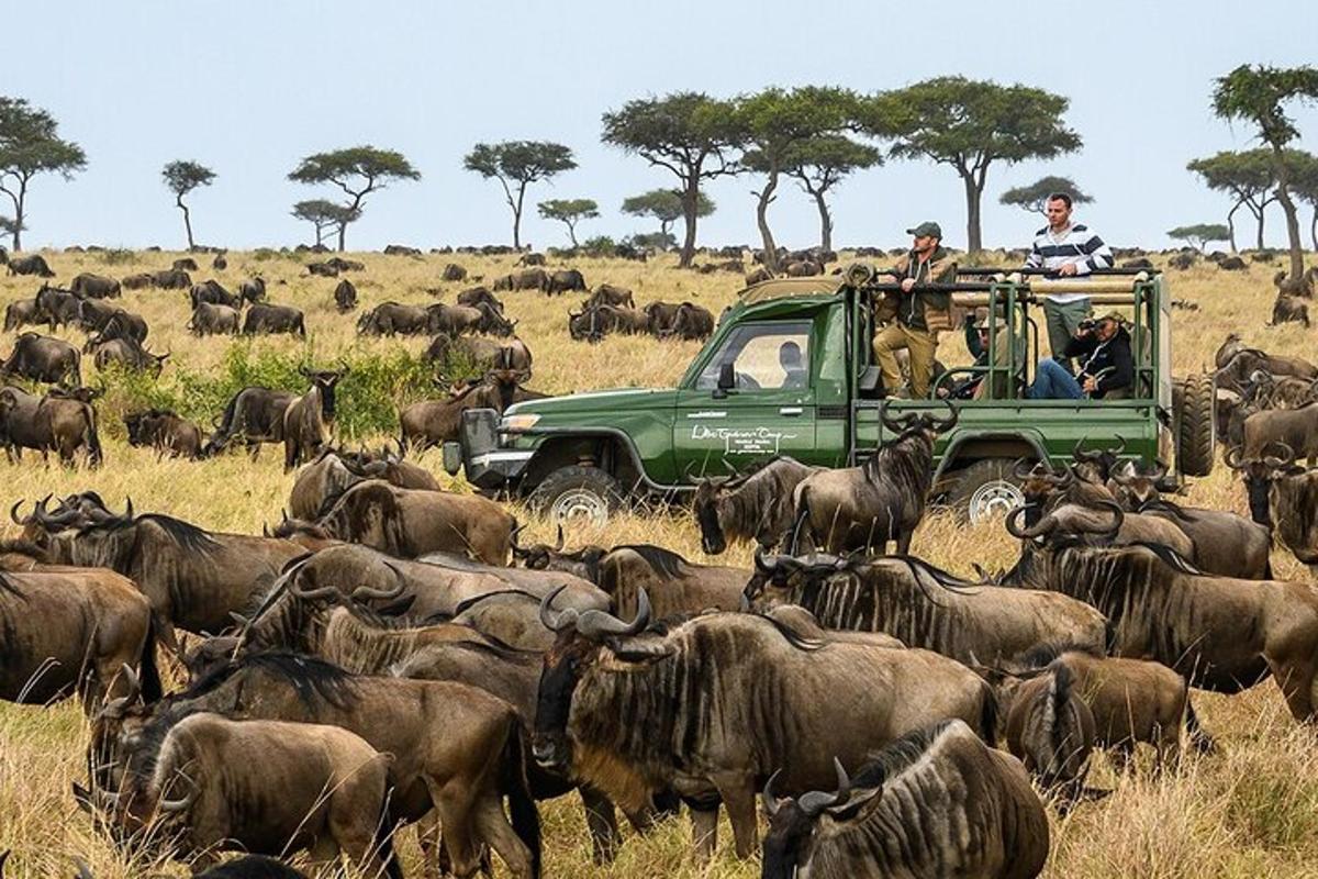 Un grupo de personas en un camión verde en una manada de animales.