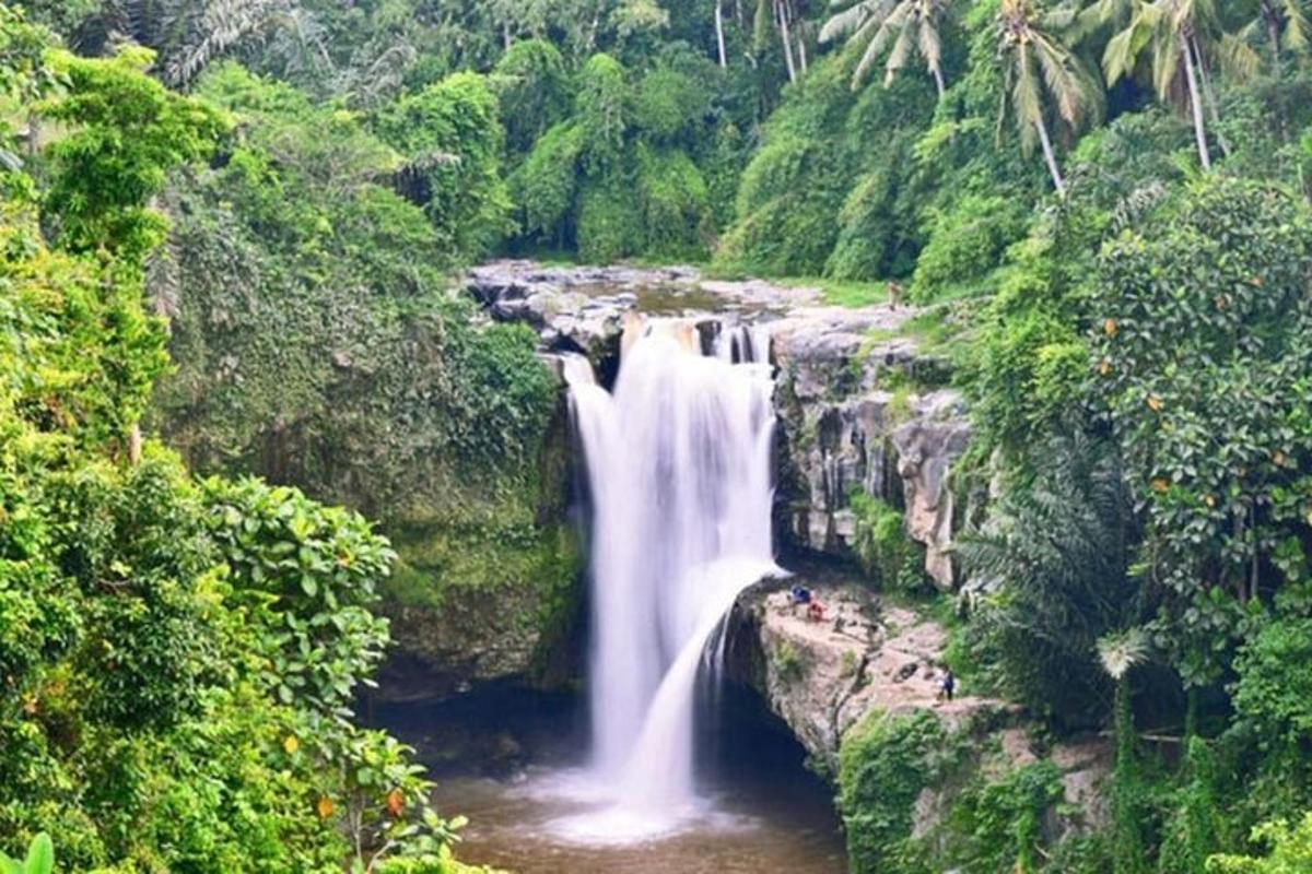 una cascata nel mezzo di una giungla