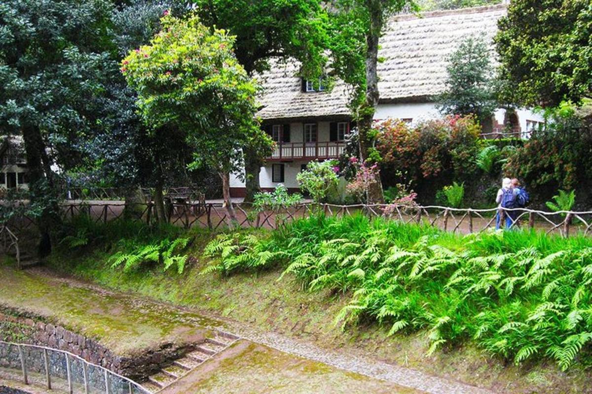 una donna che cammina davanti a un giardino con piante