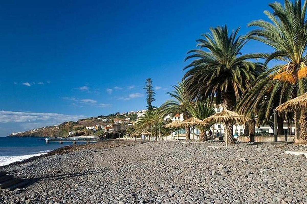 una spiaggia rocciosa con palme e l'oceano