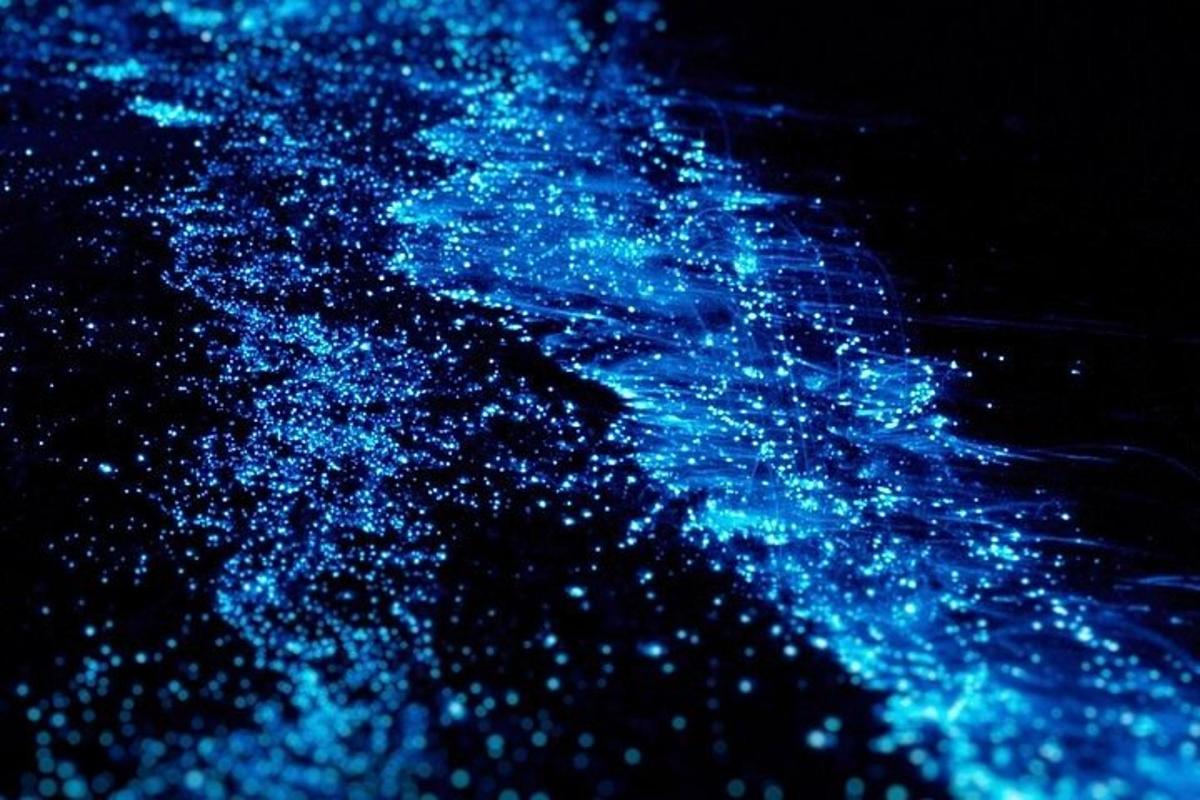 sekelompok lampu biru di dalam air