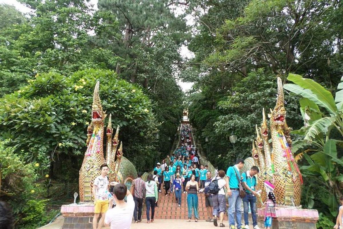 um grupo de pessoas caminhando por um jardim