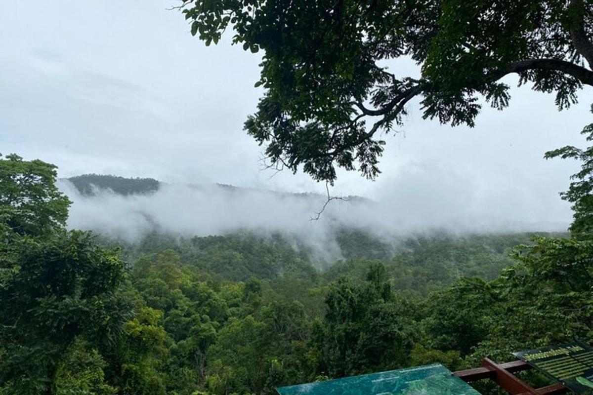 uma vista de uma floresta com nuvens no céu
