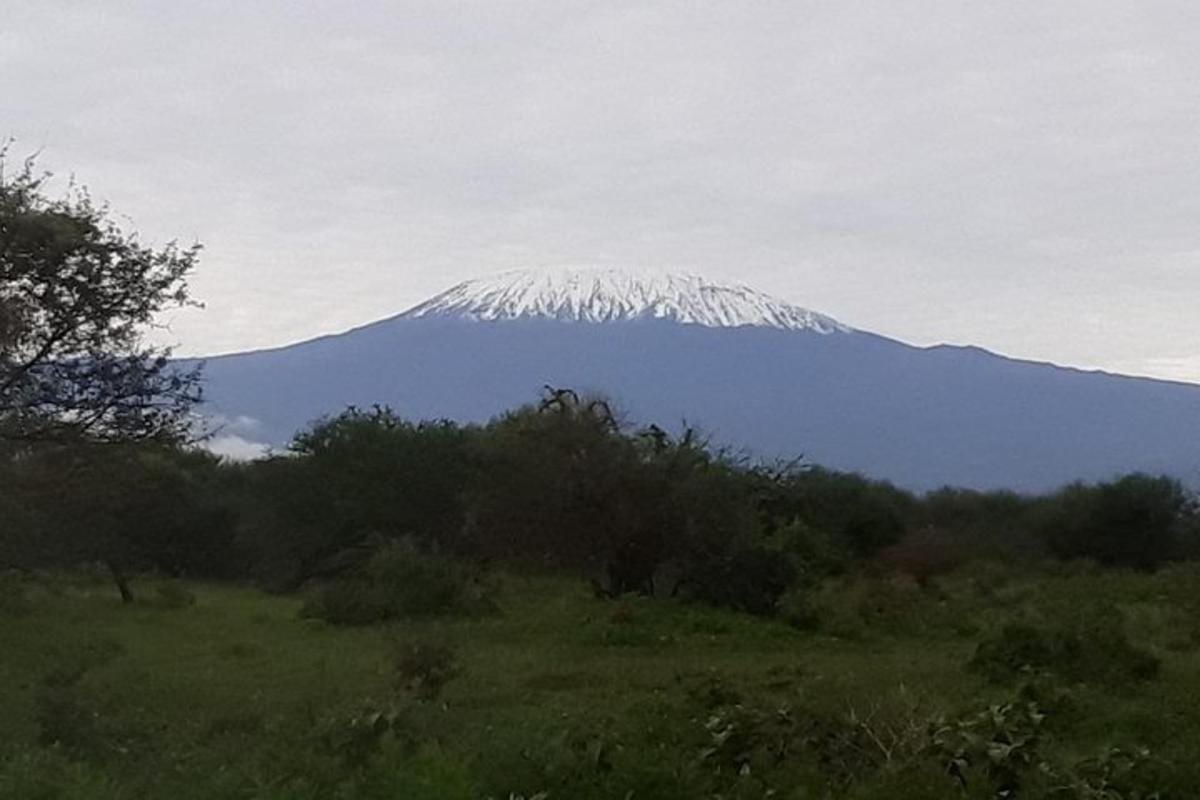 جبل مغطى بالثلوج في وسط حقل