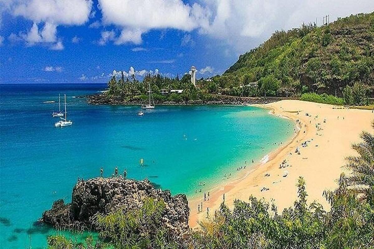 uma praia com um monte de gente na água