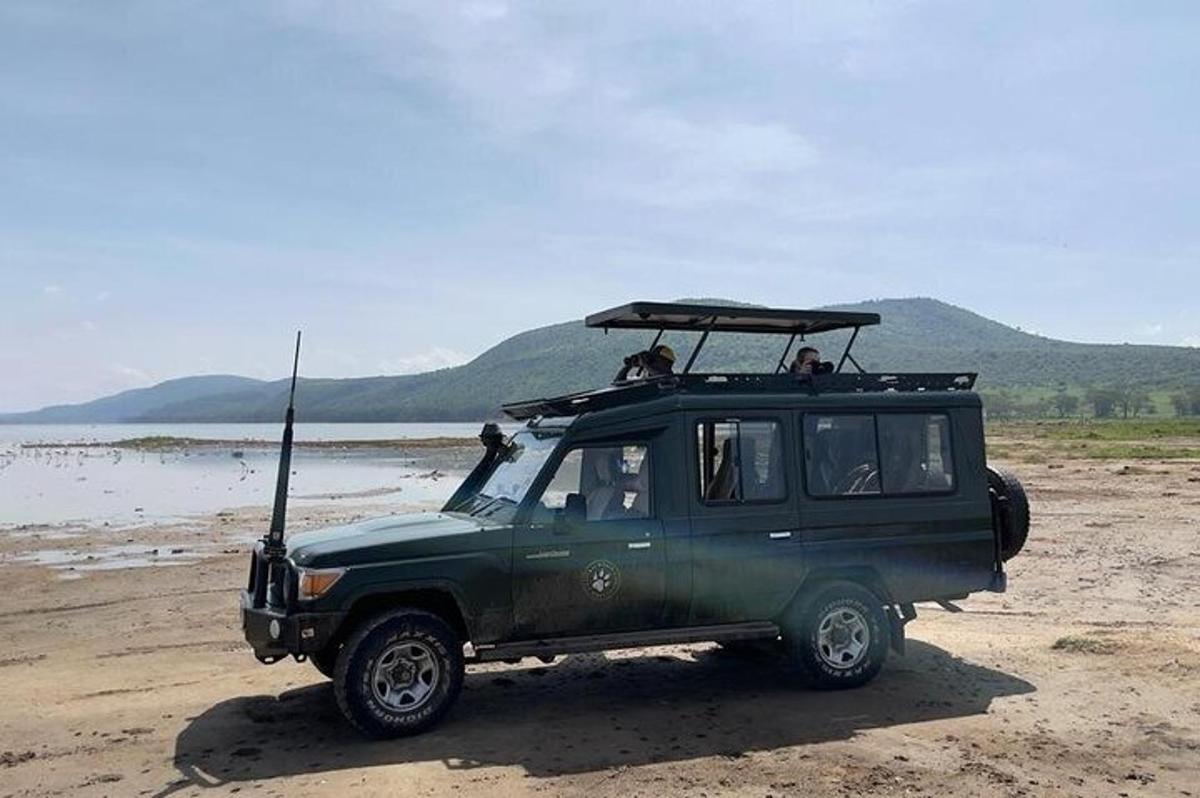 a green jeep parked on a sandy beach