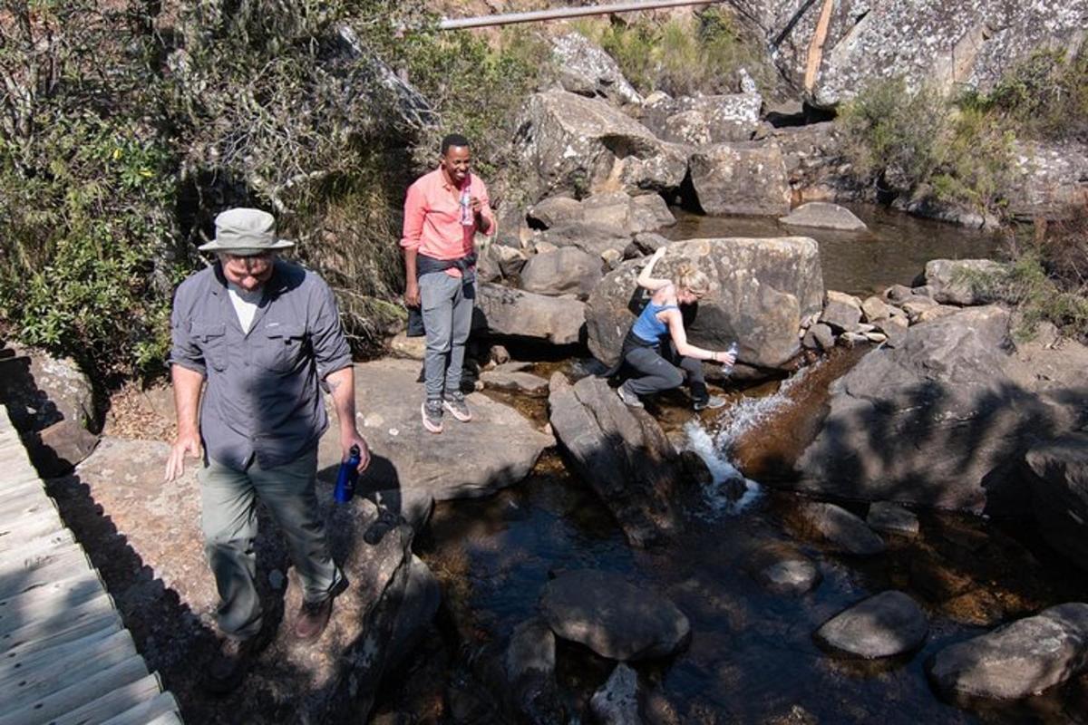 a group of people standing on rocks in a stream