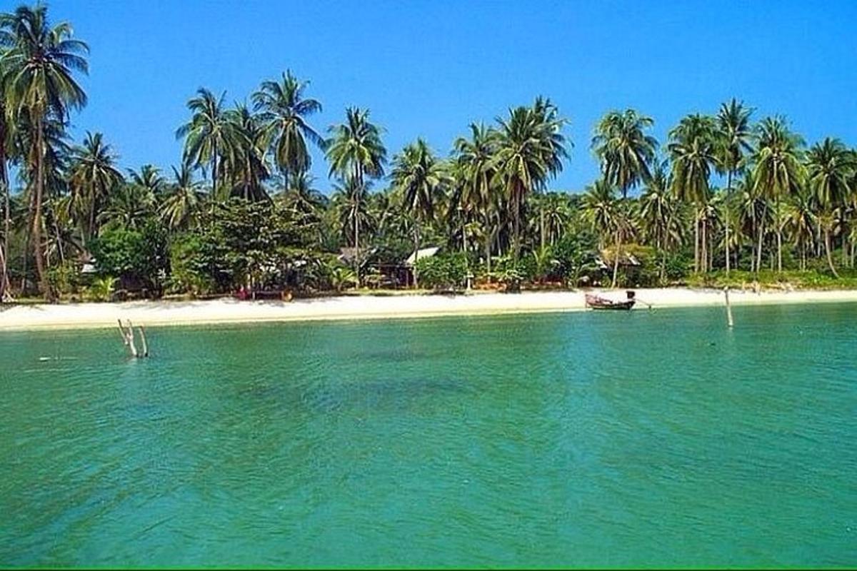 una spiaggia con palme e una barca in acqua