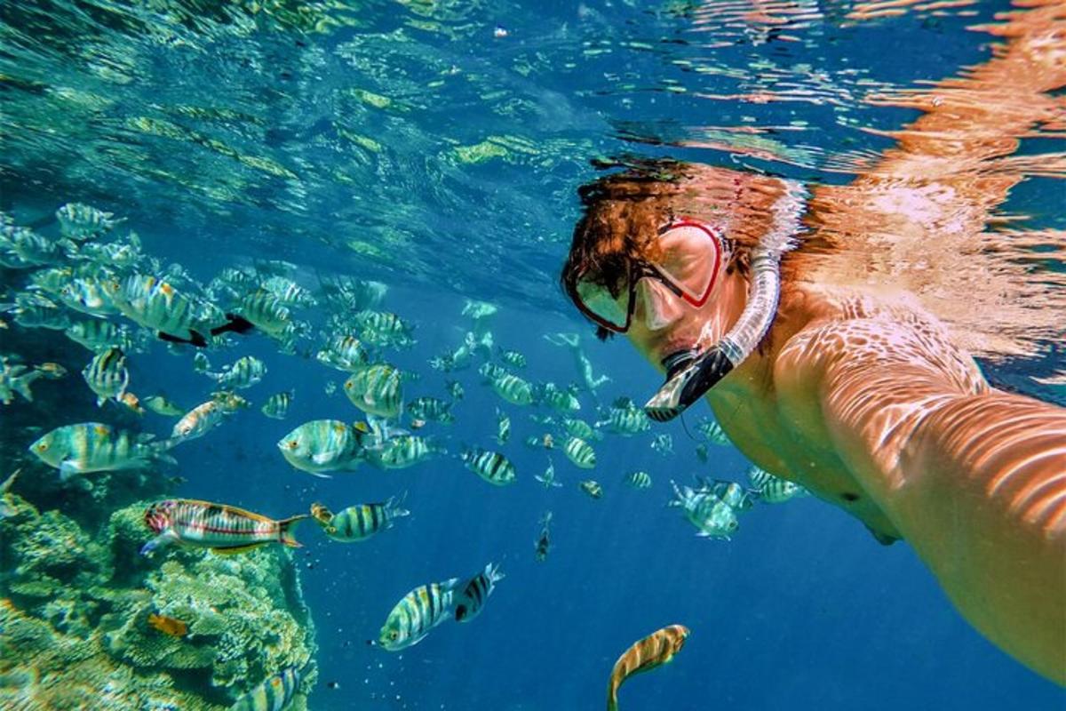 a man in the water looking at fish