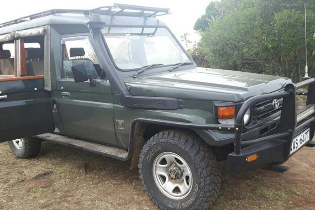 un camió jeep verd aparcat a l'herba