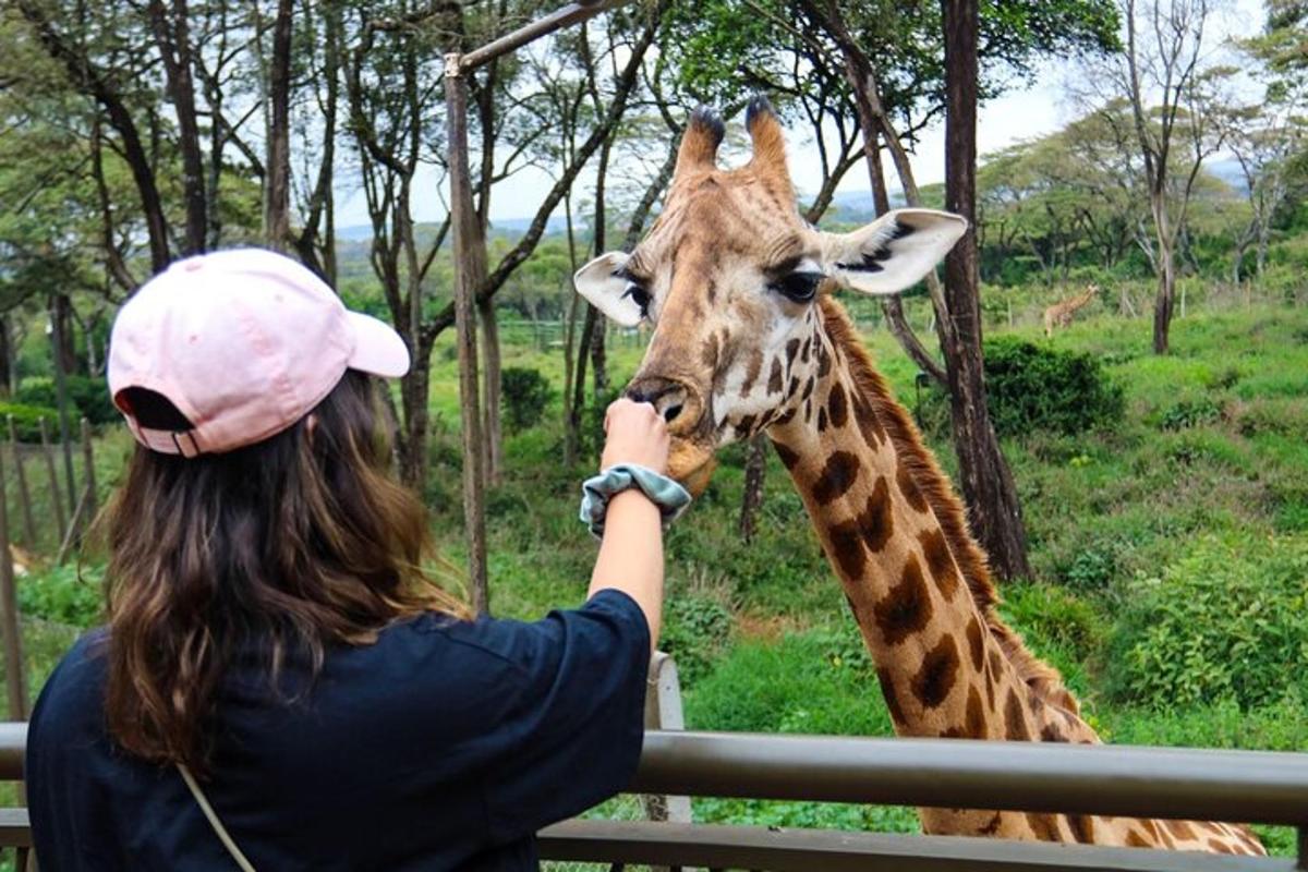 eine Frau streichelt eine Giraffe in einem Zoo