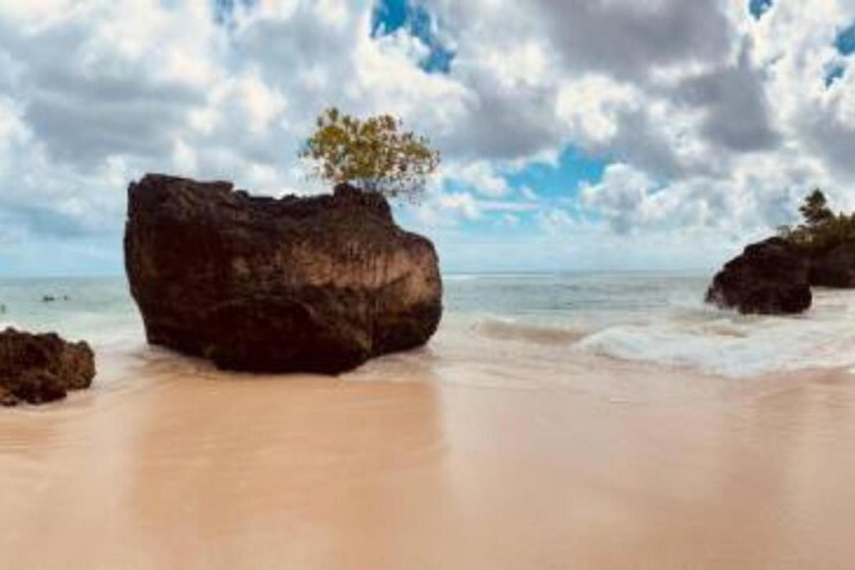 uma grande rocha sentada em uma praia com o oceano