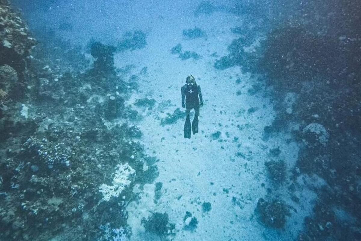Ένα άτομο περπατάει στον ωκεανό στο χιόνι