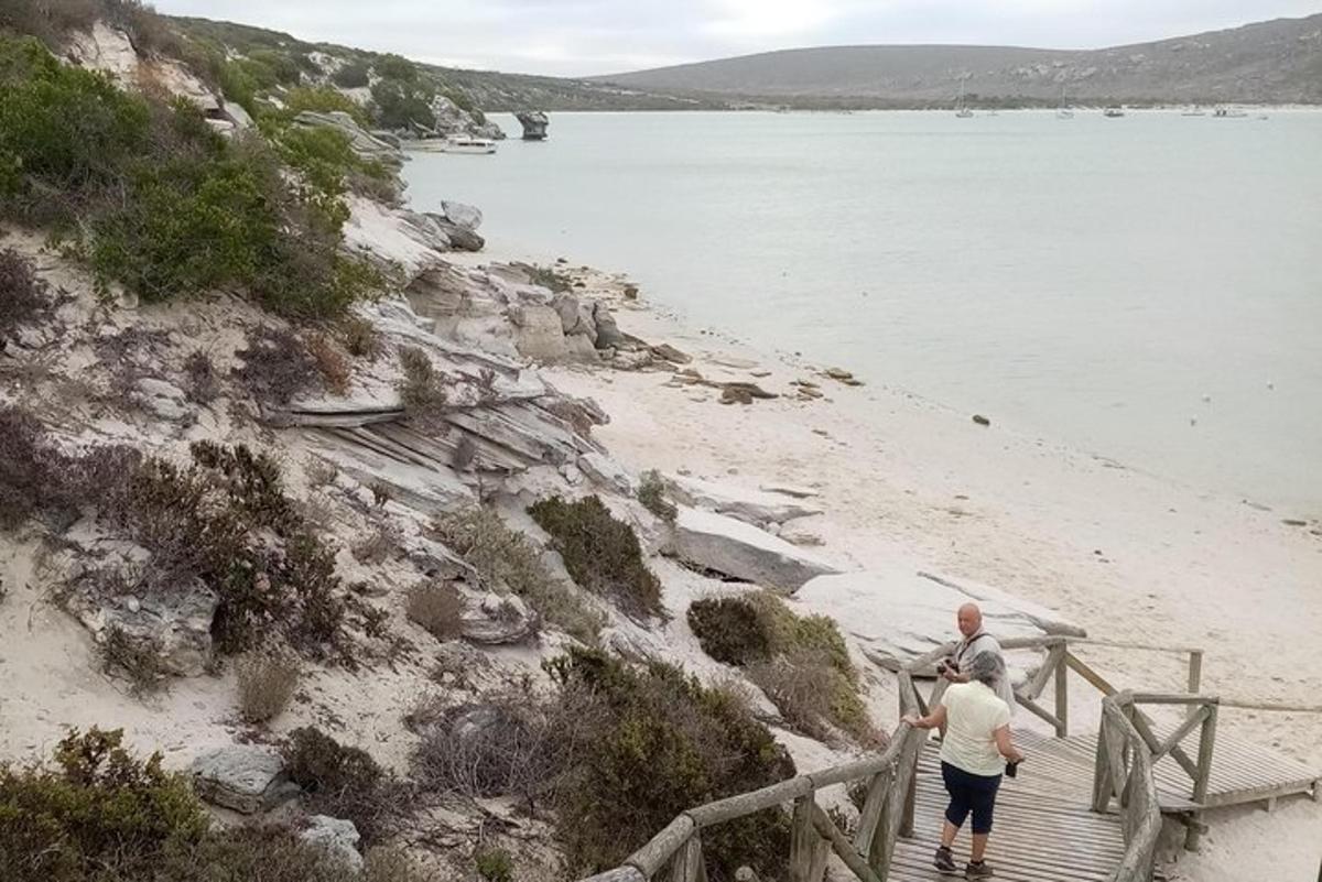 un paio di persone che scendono da una scala di legno verso la spiaggia