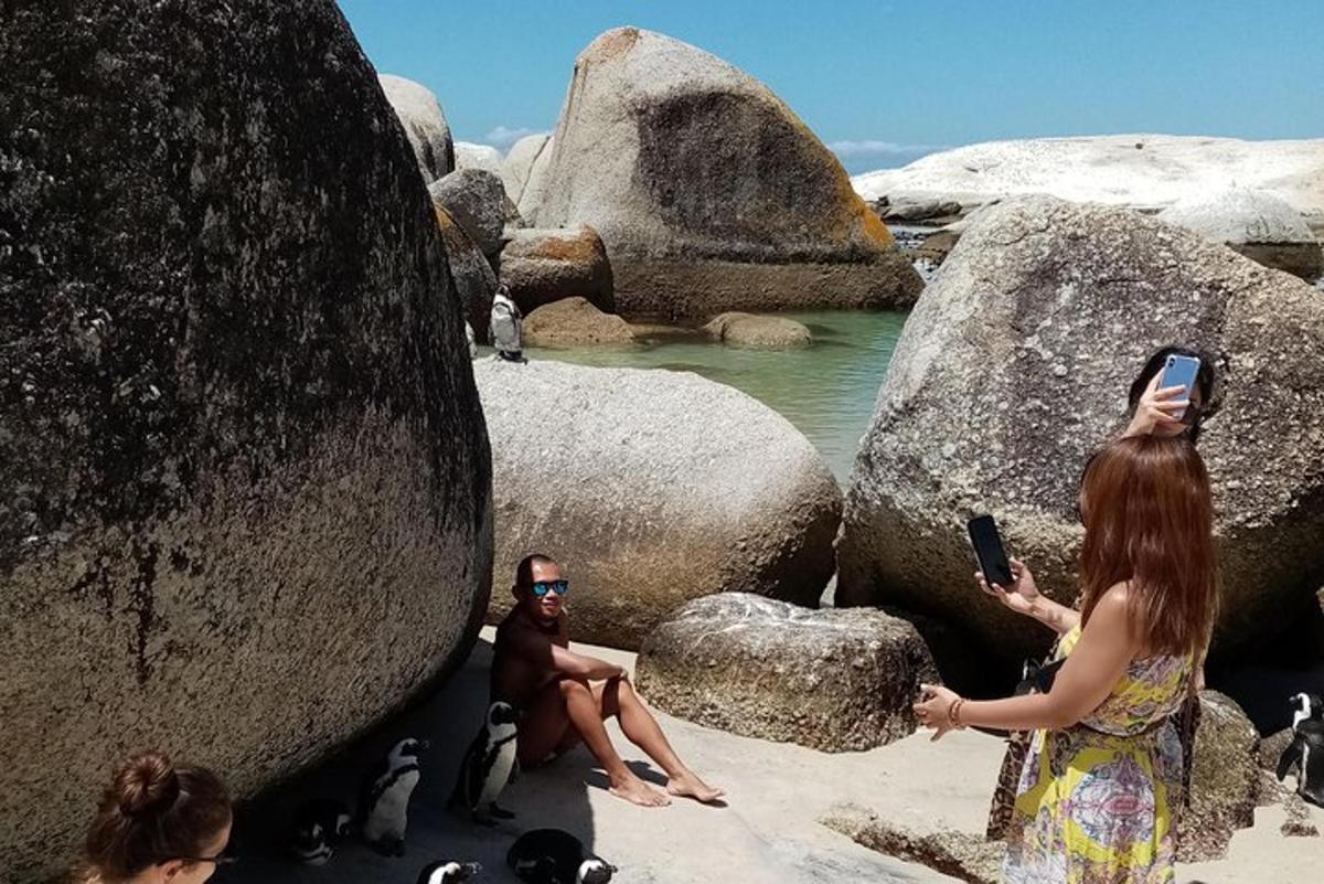 una donna che scatta una foto a un uomo e ai pinguini sulle rocce