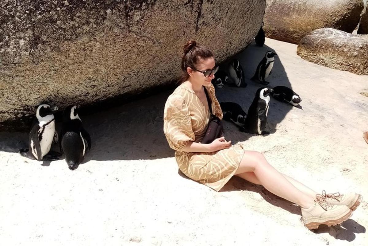 Una mujer con un vestido sentada junto a pingüinos.