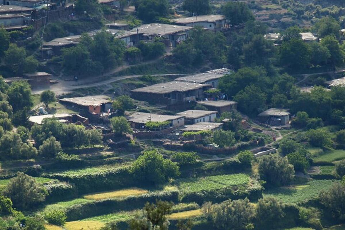 une vue aérienne d'un village avec des maisons et des arbres