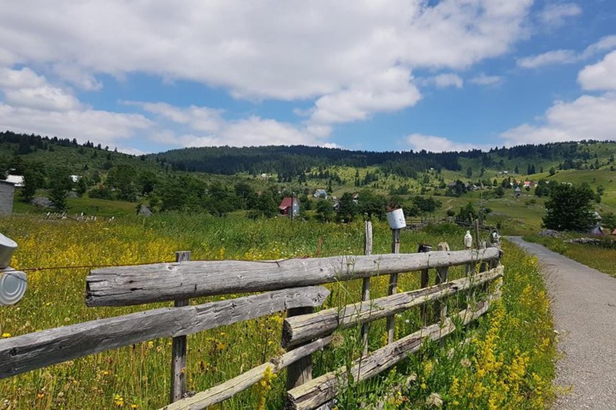 Fotografia 6 a atracției