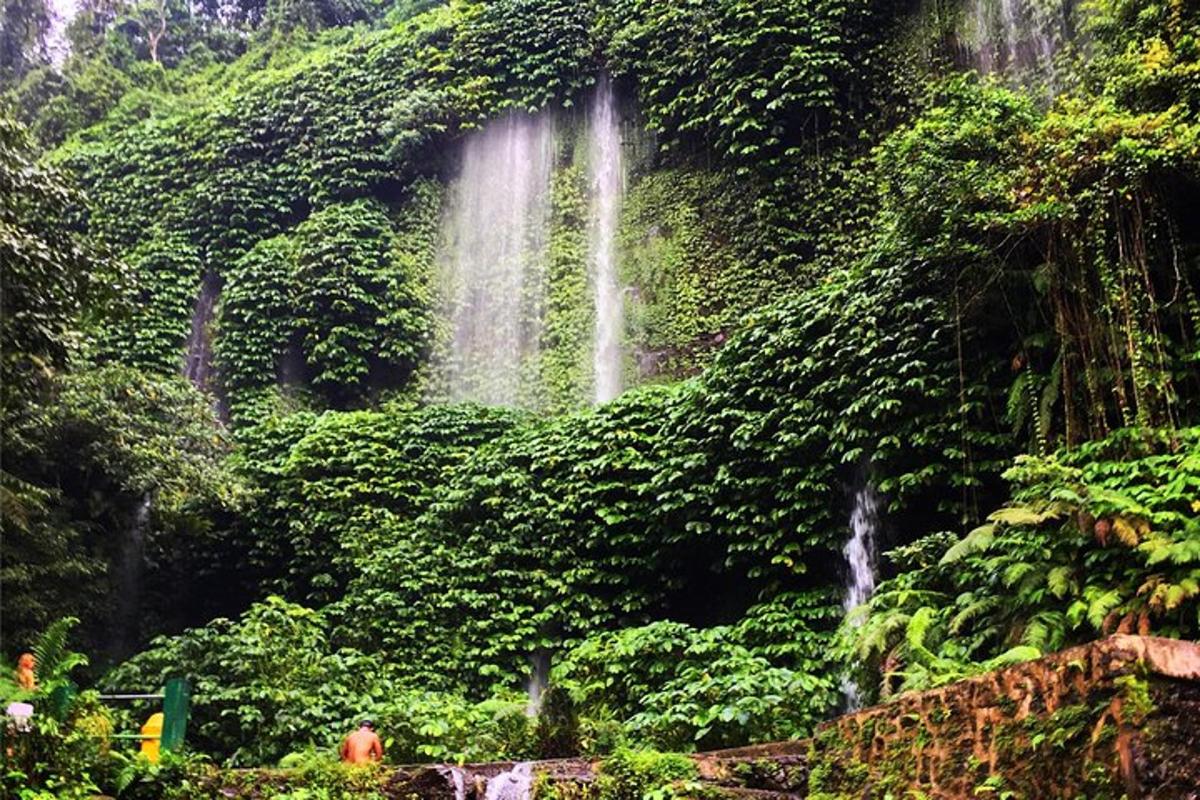 a waterfall in the middle of a lush green forest