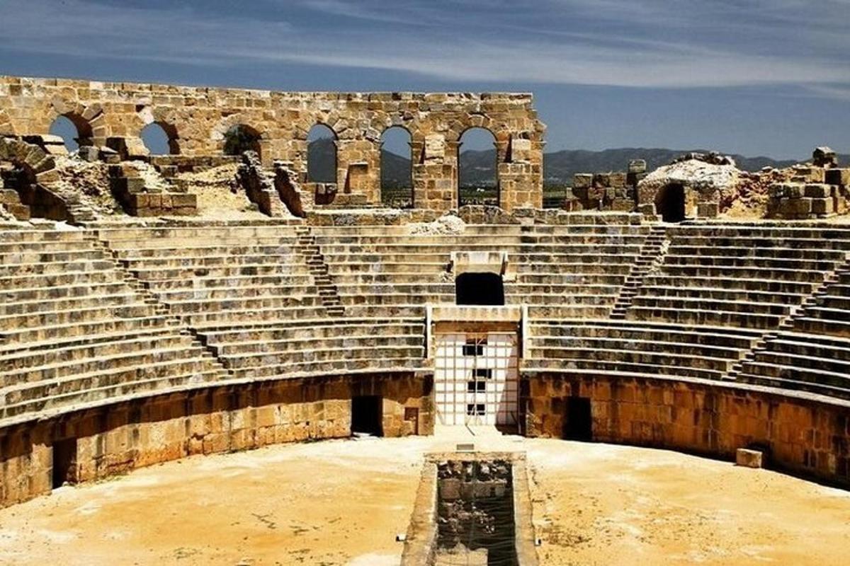 a large amphitheater with a bunch ofadders in it