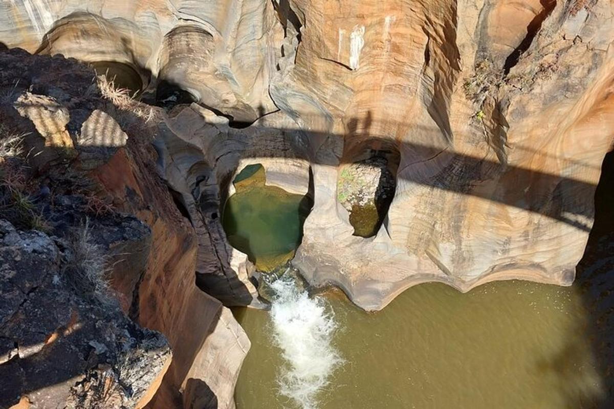 pemandangan udara perairan dengan seekor gajah