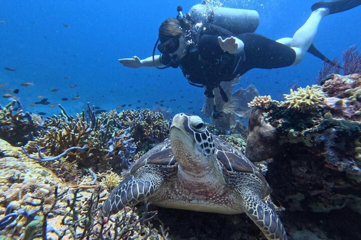 Fotografia da atração 1