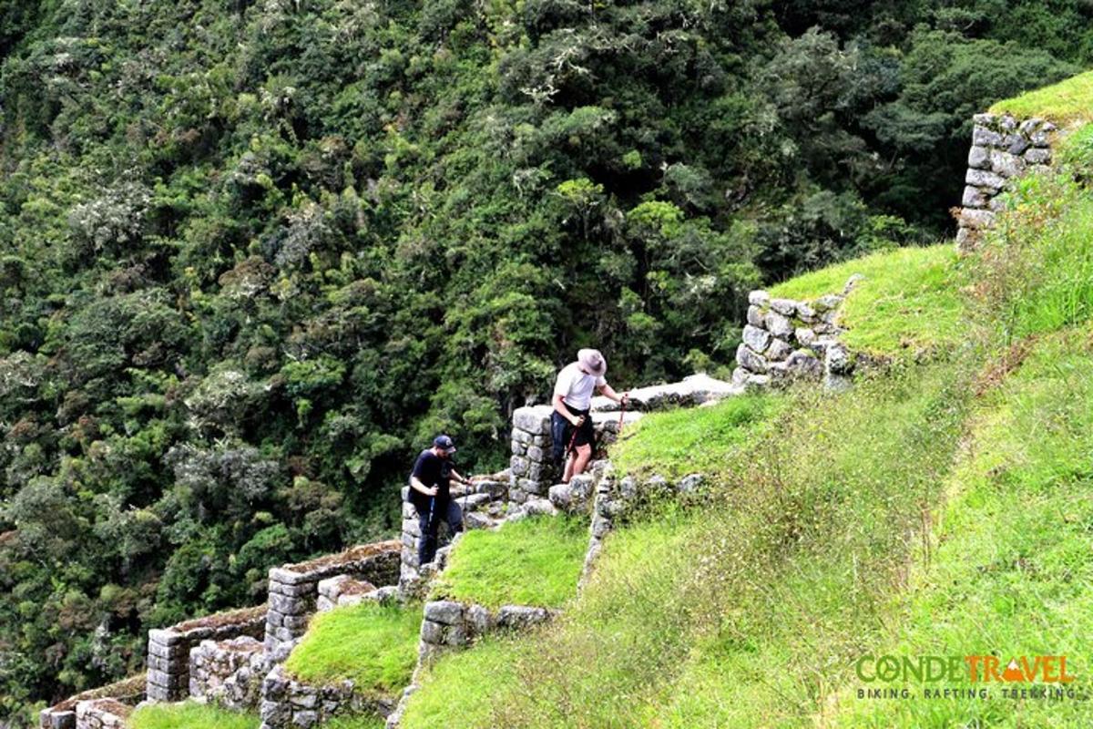 Dos hombres caminan por una colina cubierta de hierba.