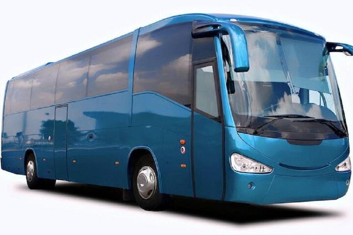 sinine buss on pargitud valgele taustale