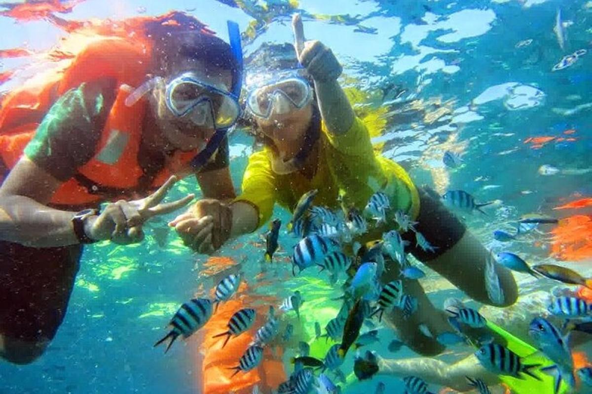 Dos personas en el agua mirando peces