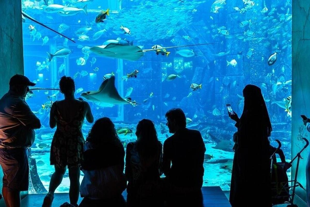 un grup de oameni care stăteau în fața unui acvariu mare