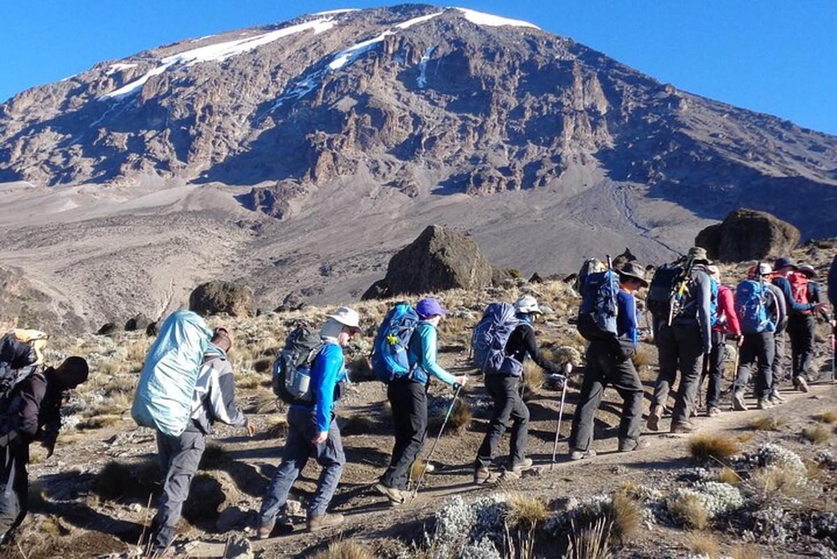 a group of people walking on a mountain trail