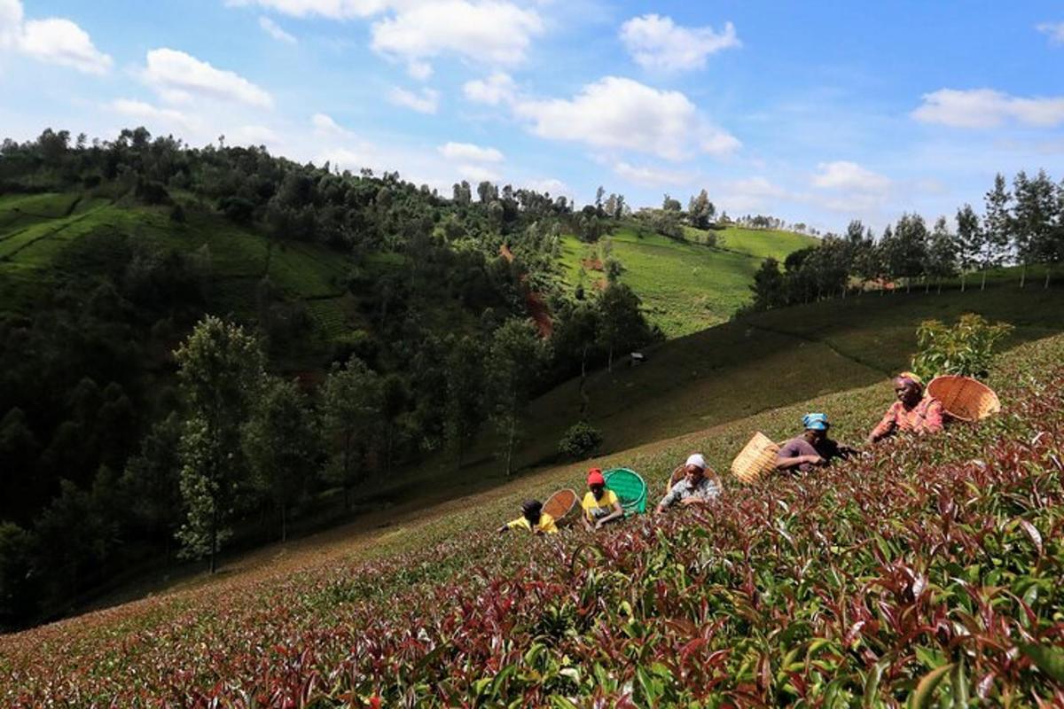 un gruppo di persone sedute in cima a una collina