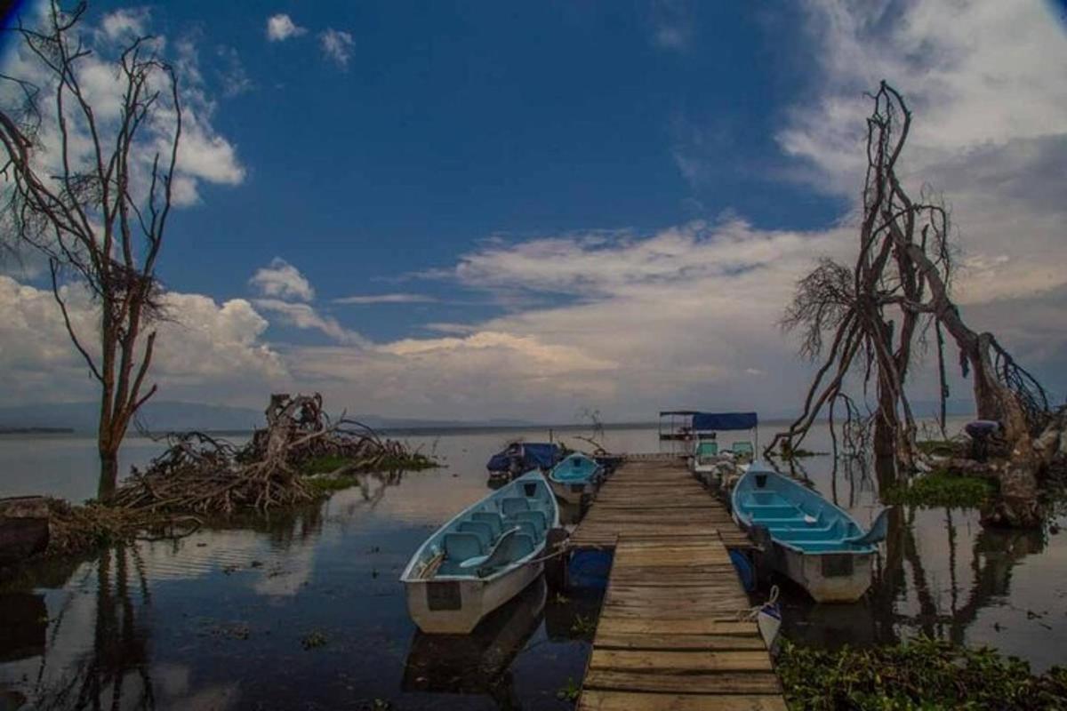 un gruppo di barche parcheggiate su un molo in acqua