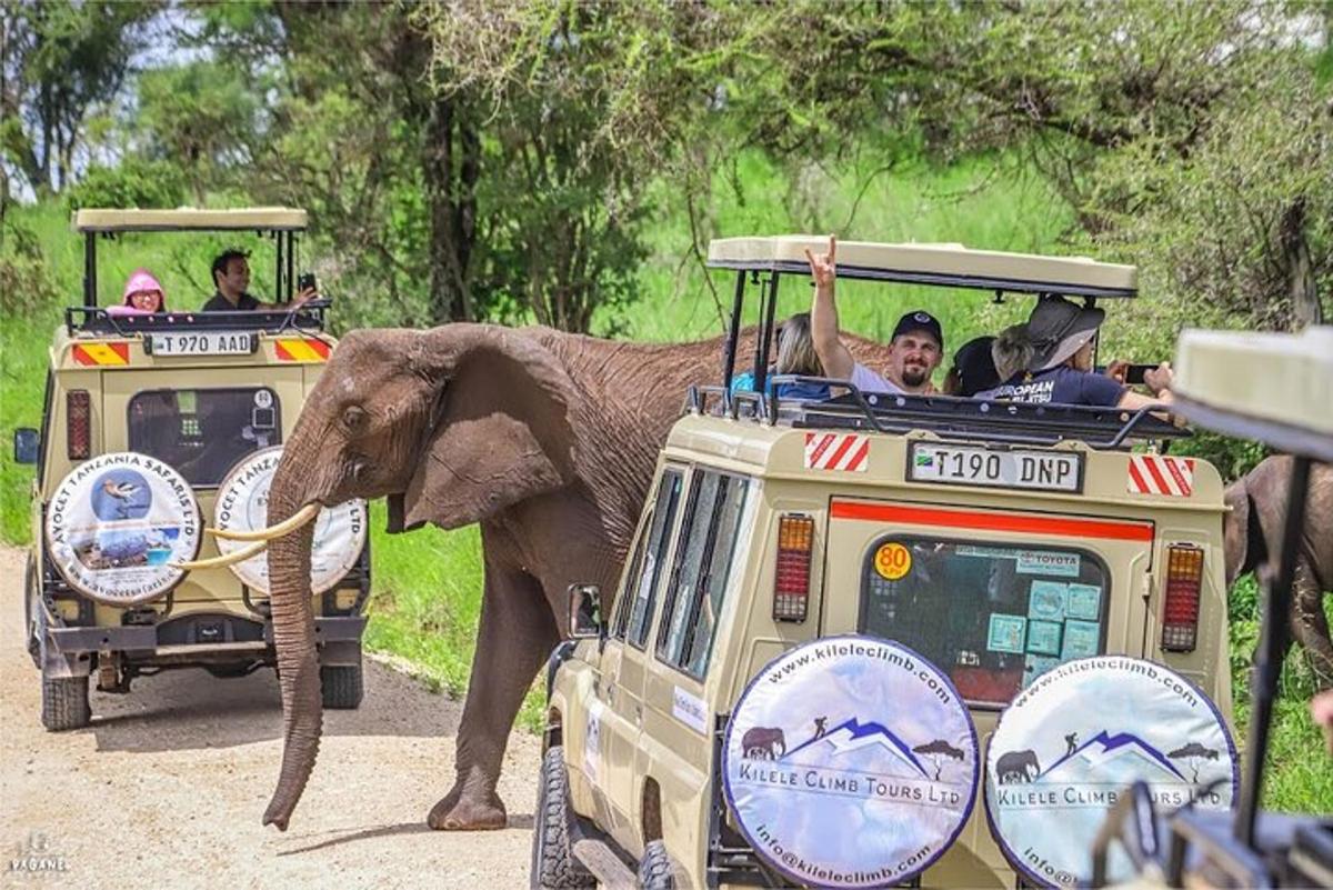 un gruppo di persone a bordo di un veicolo da safari accanto a un elefante
