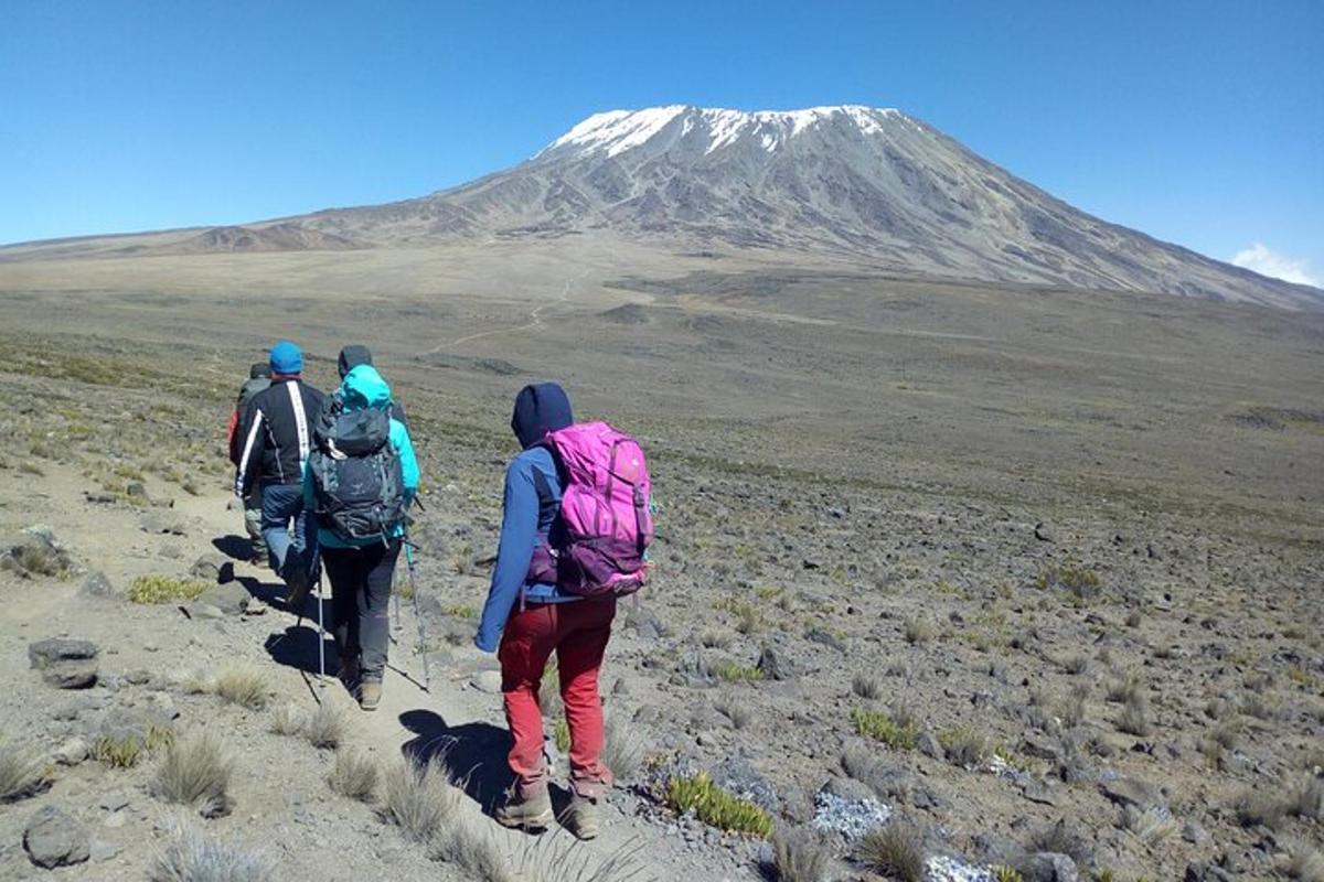 hópur fólks sem gengur upp fjall