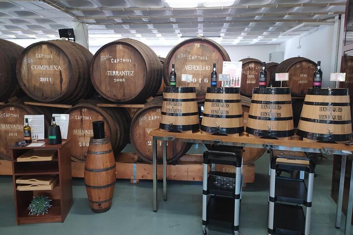 a bunch of wine barrels in a room