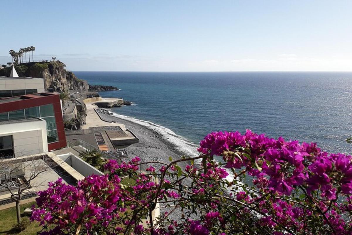una vista di una spiaggia con fiori viola