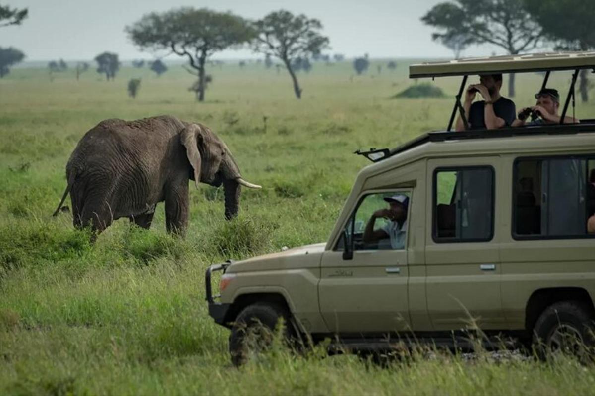 een groep mensen in een voertuig die een olifant observeert