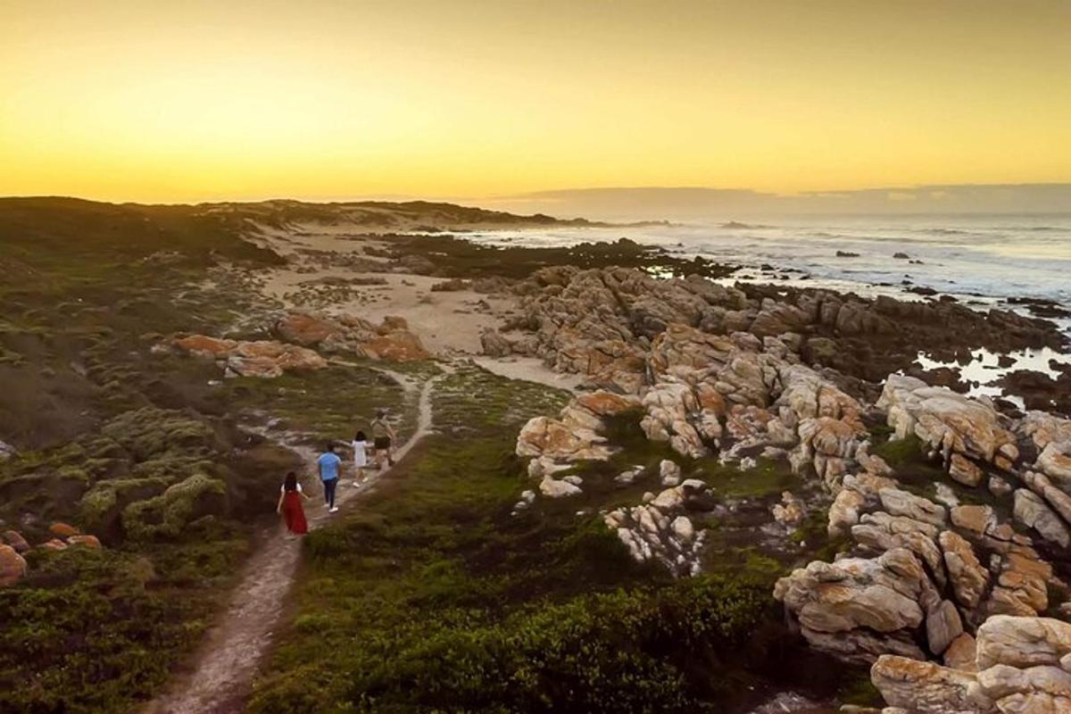 a group of people walking on a path near the ocean
