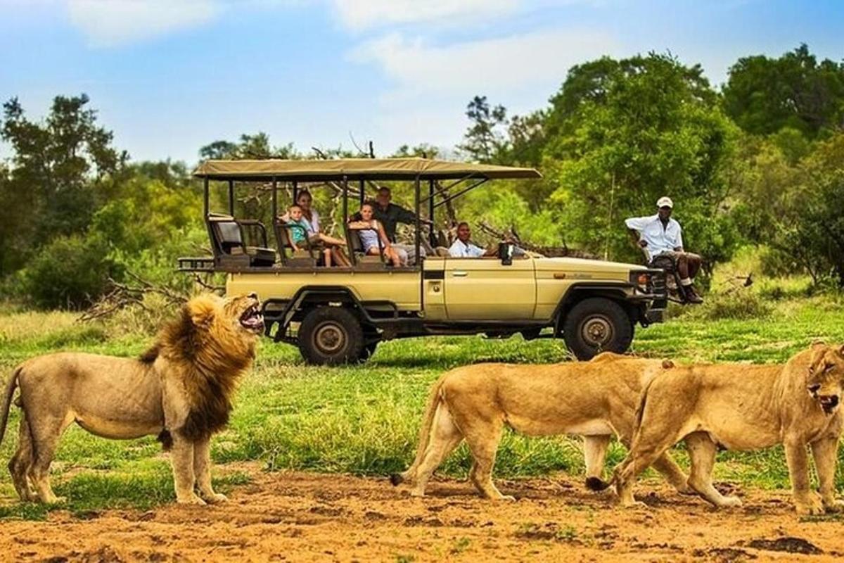 sekumpulan orang dalam kenderaan safari dengan singa