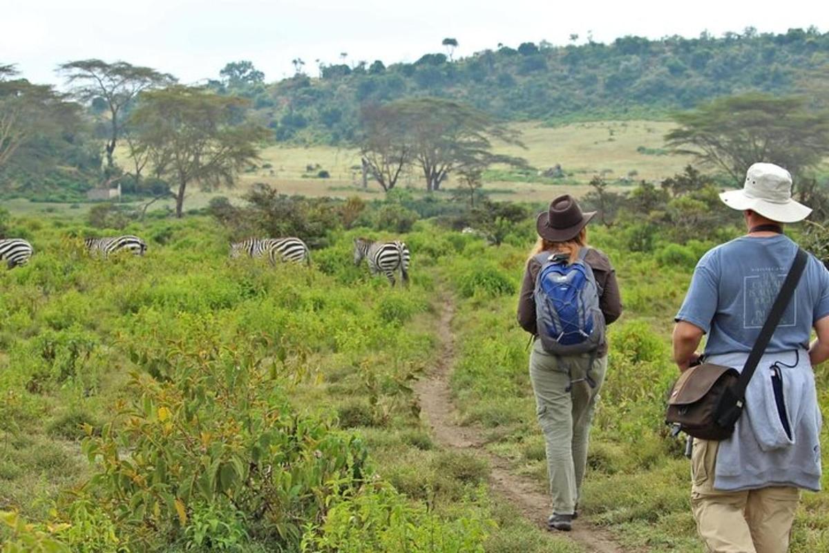 Ein Mann und eine Frau gehen mit Zebras einen Feldweg entlang