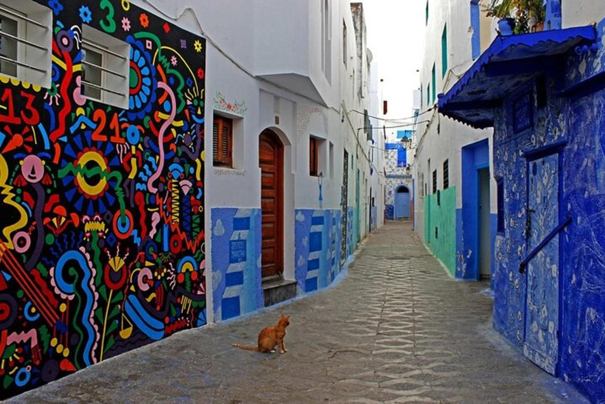 a cat sitting on a street next to a colorful wall