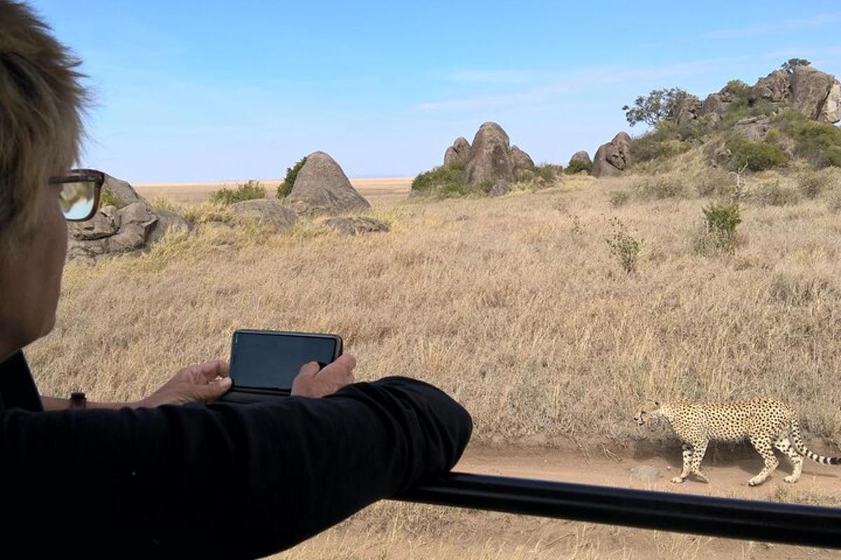 muž fotí leoparda z autobusu